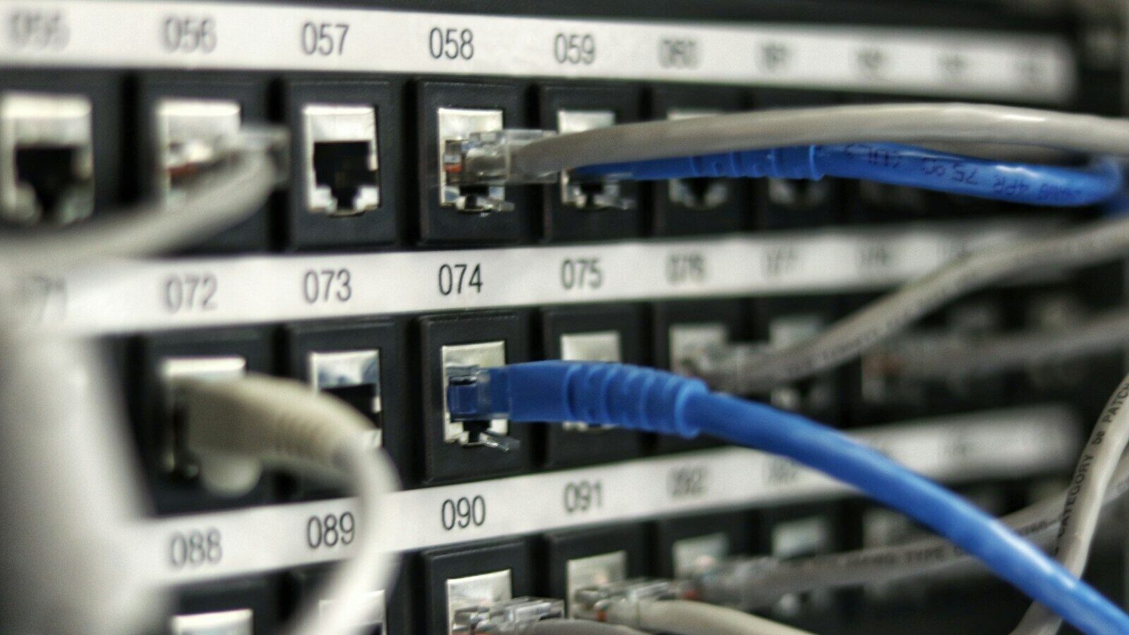 blue UTP cord