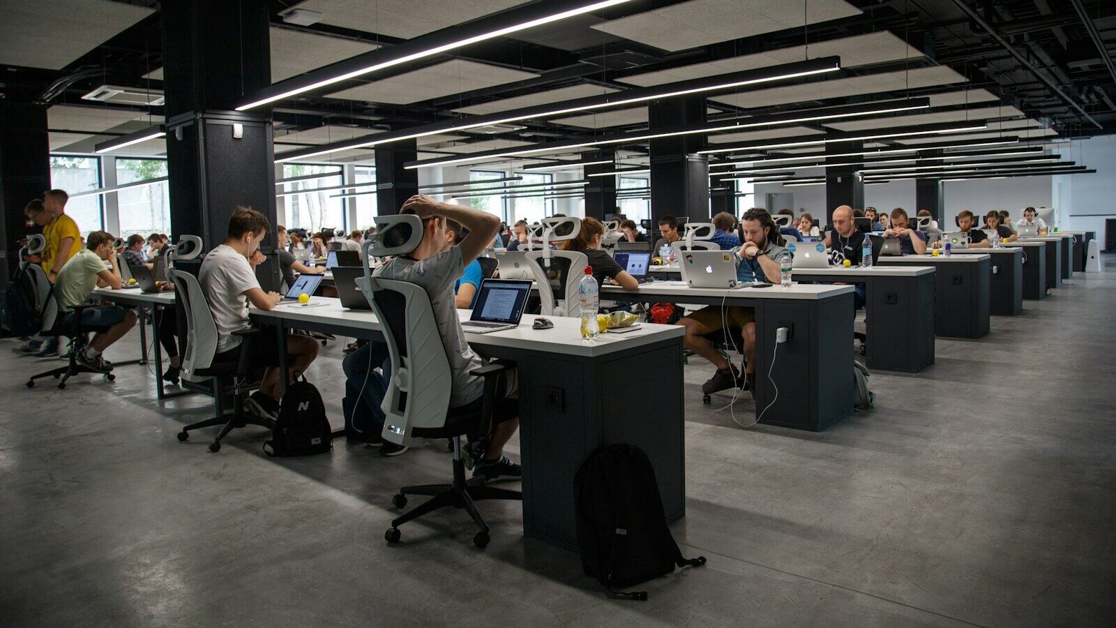 people doing office works